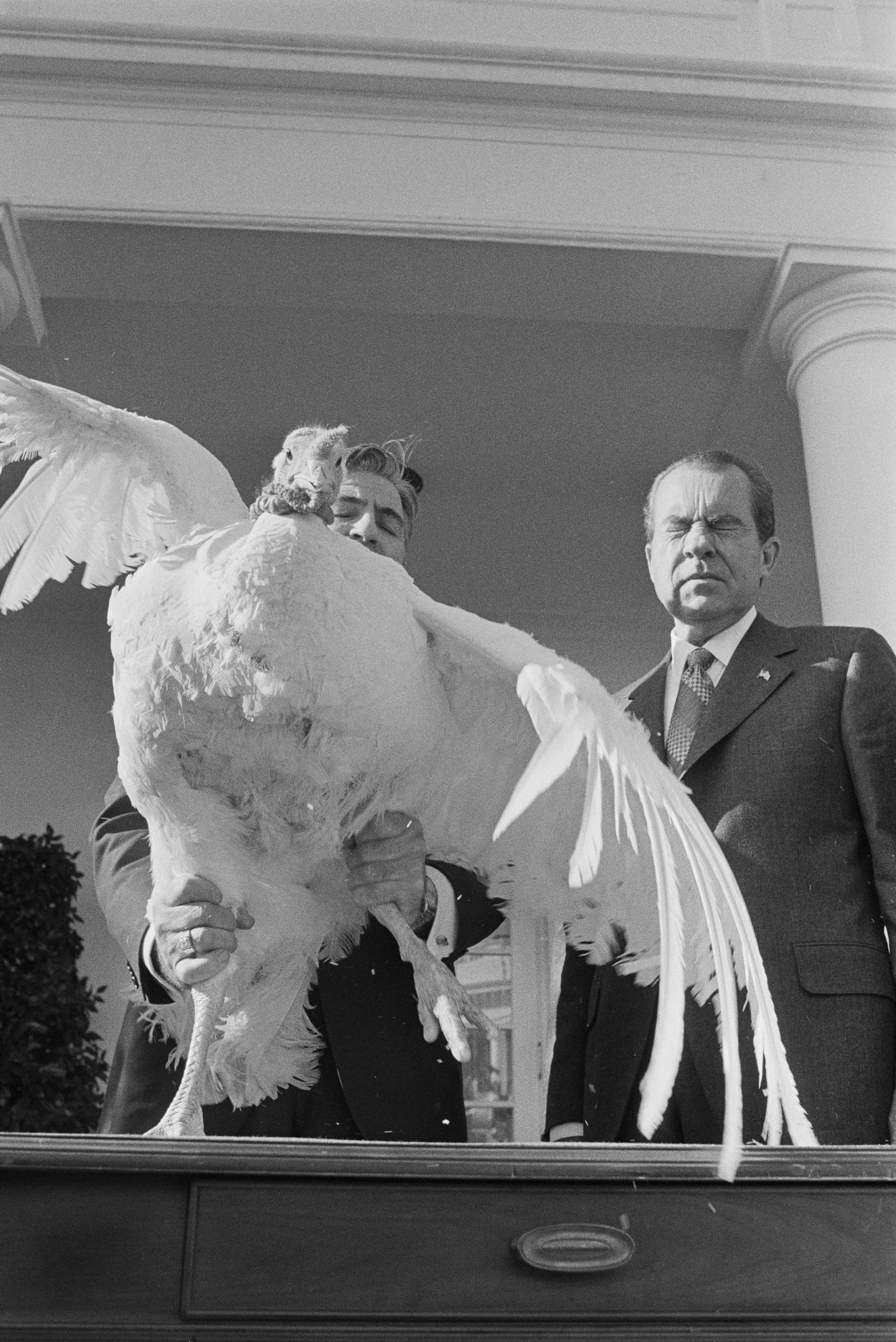 President Nixon Grimacing at Thanksgiving Turkey