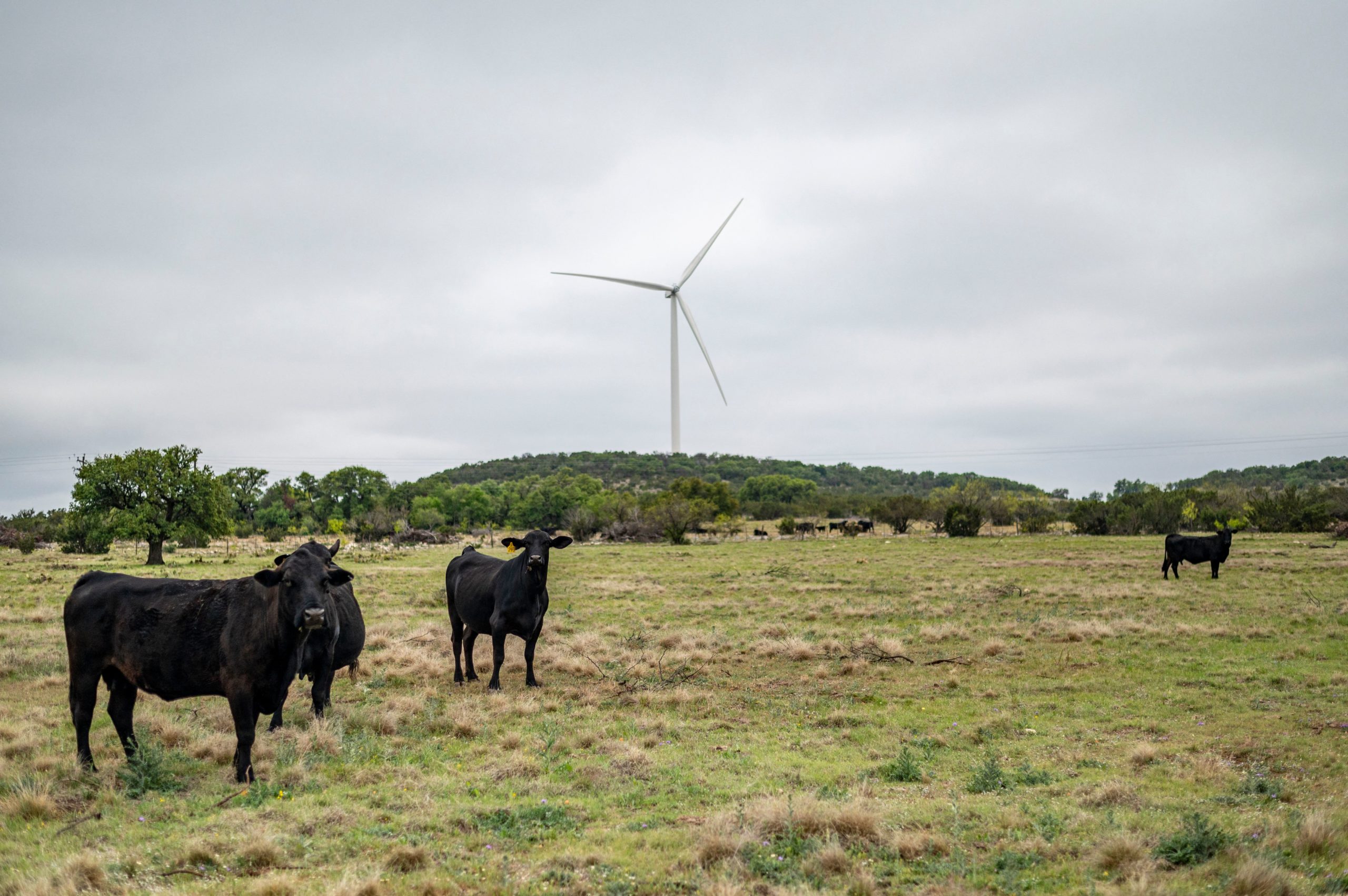 US-CLIMATE-ENVIRONMENT-ECONOMY-ENERGY