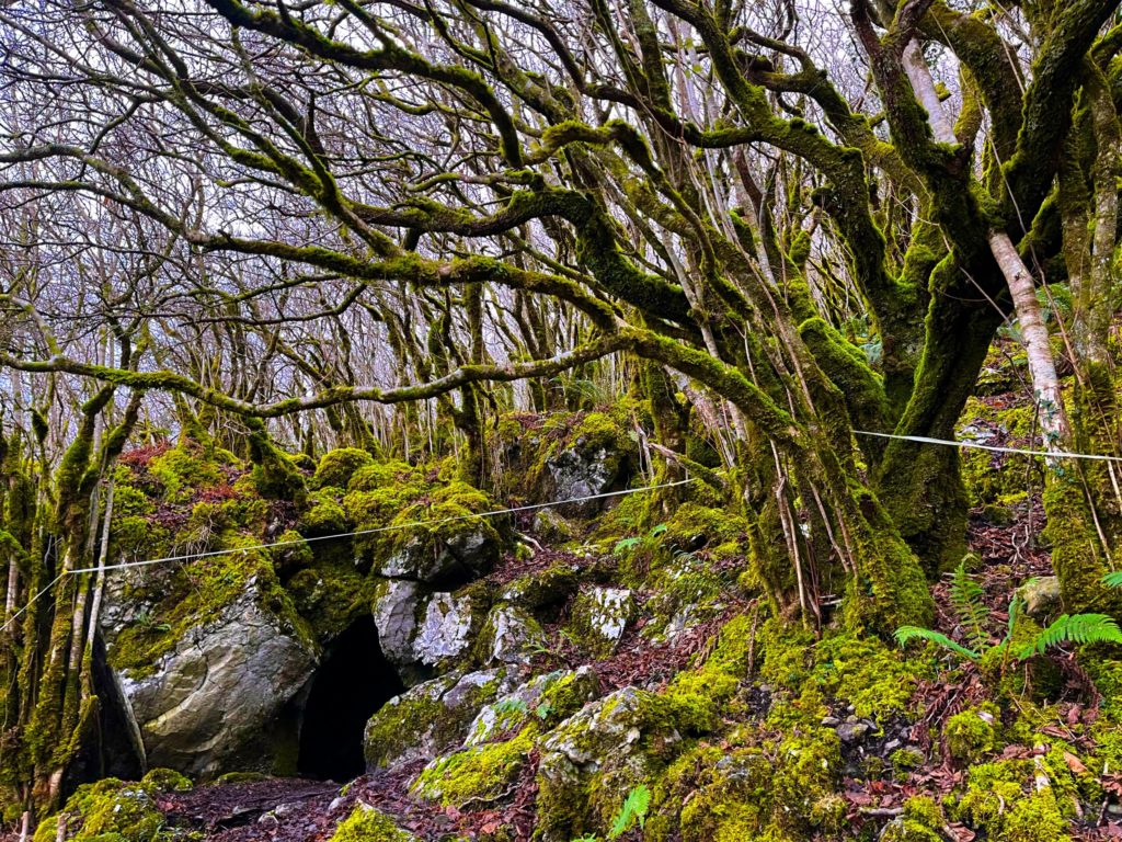 In The Cave Of The Irish Hermit