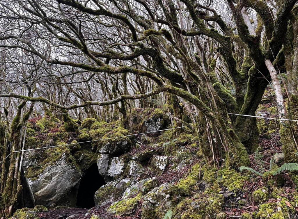 Shelter From The West’s Long Winter