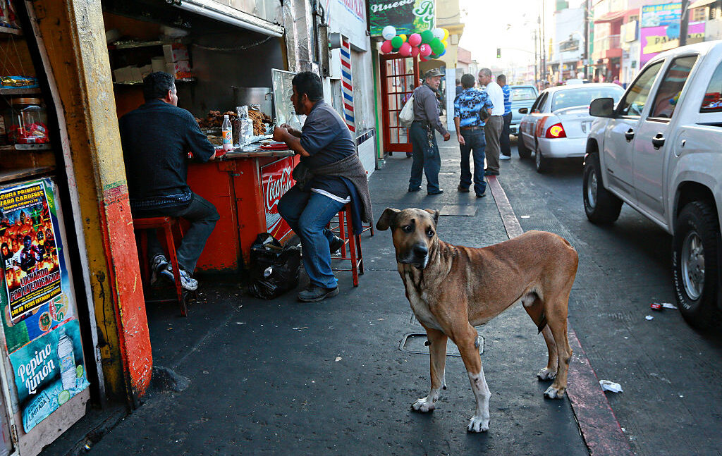 The Taco Truck Delusion