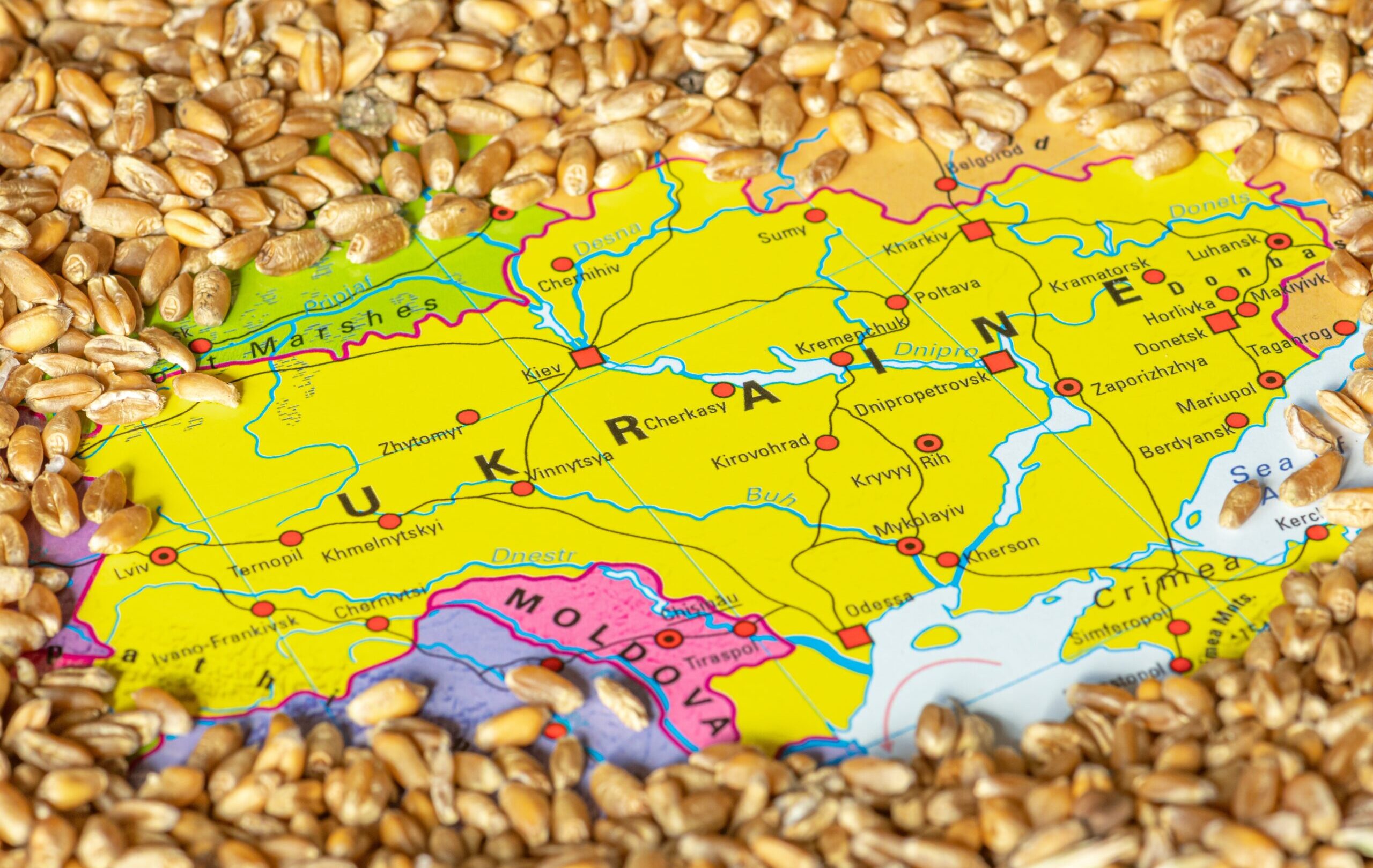 Kyiv,,Ukraine,-,May,16,2022:,Wheat,Grains,On,The
