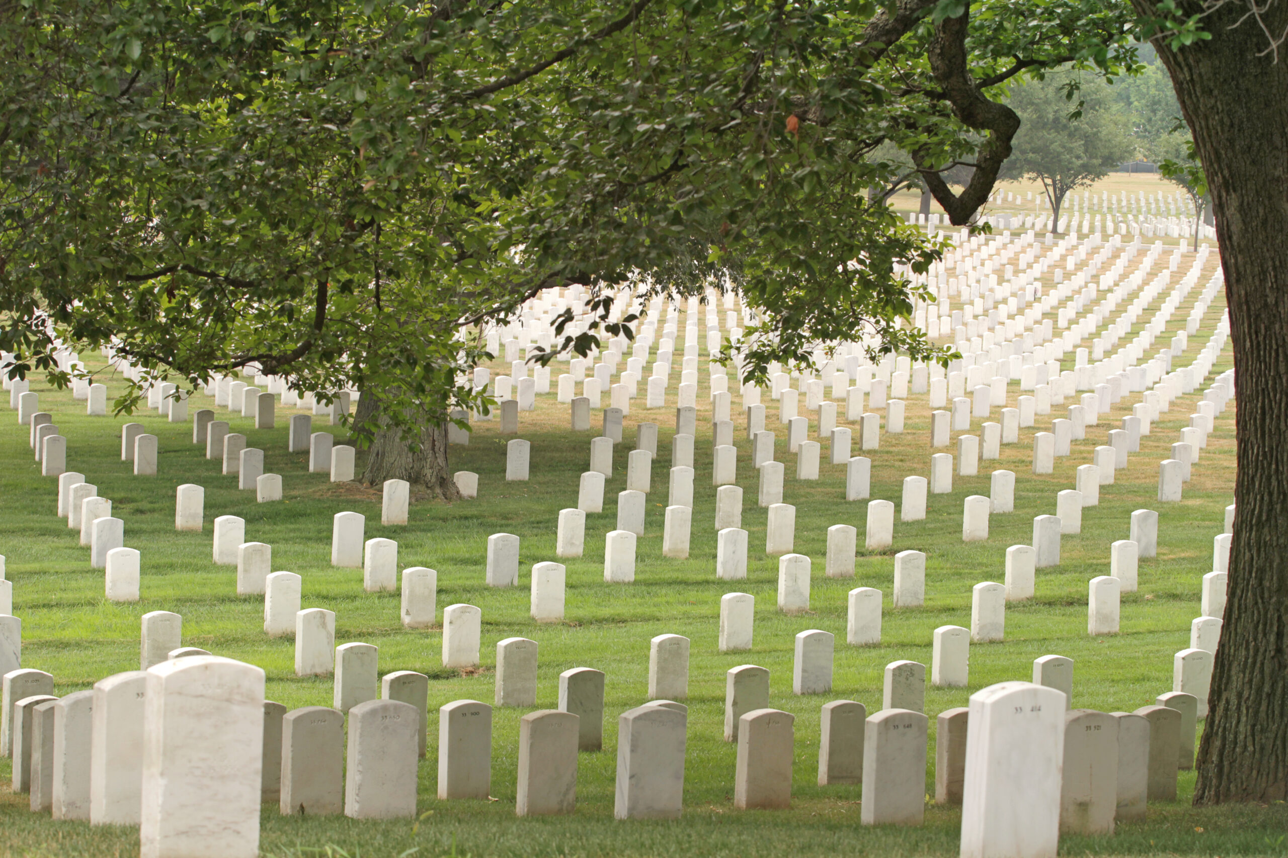 Headstones,At,The,Arlington,National,Cemetery,Near,Washington,Dc