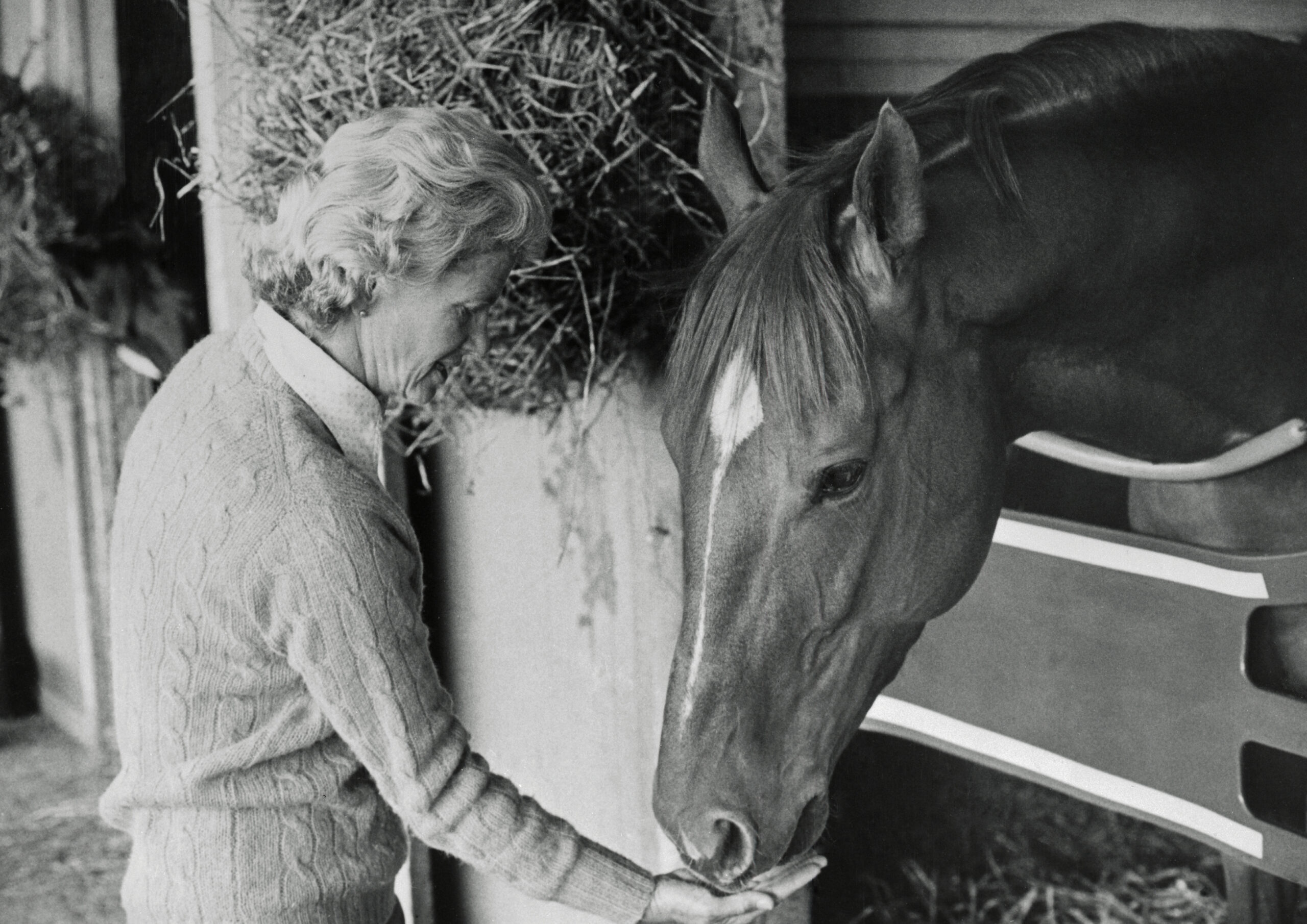 Secretariat Being Fed by Owner