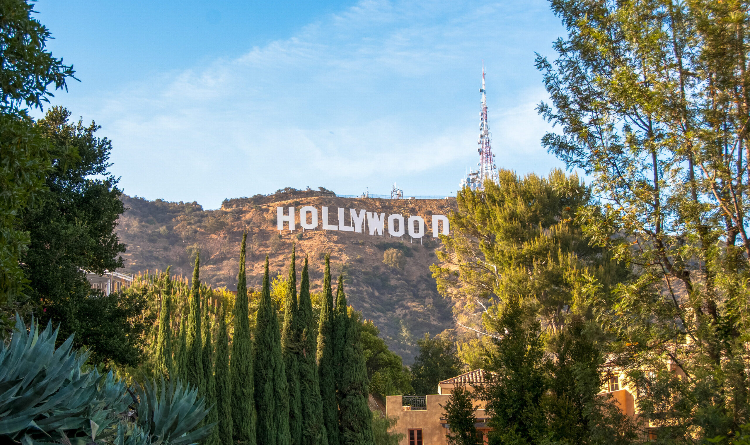 Hooray for Hollywood 