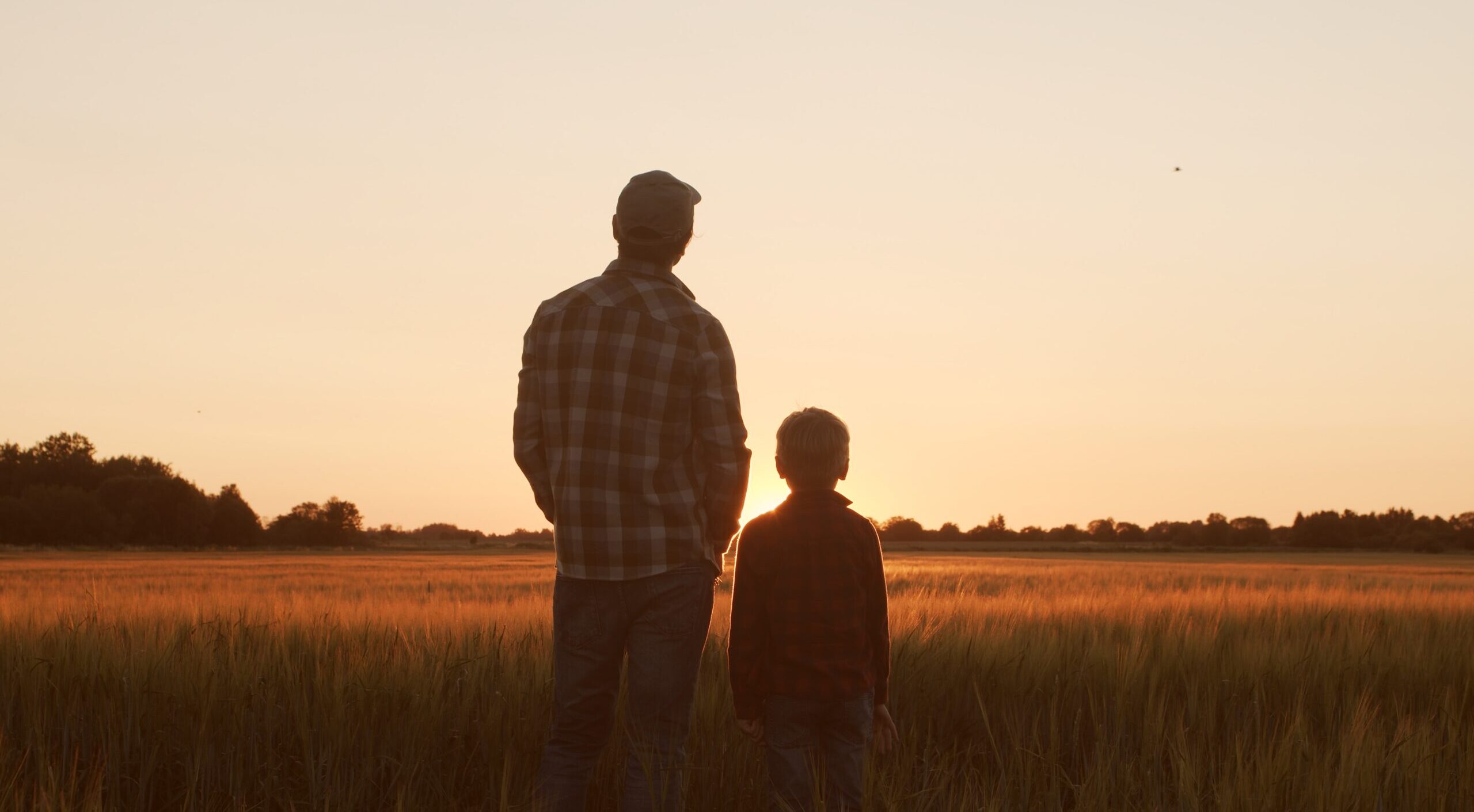 Farmer,And,His,Son,In,Front,Of,A,Sunset,Agricultural