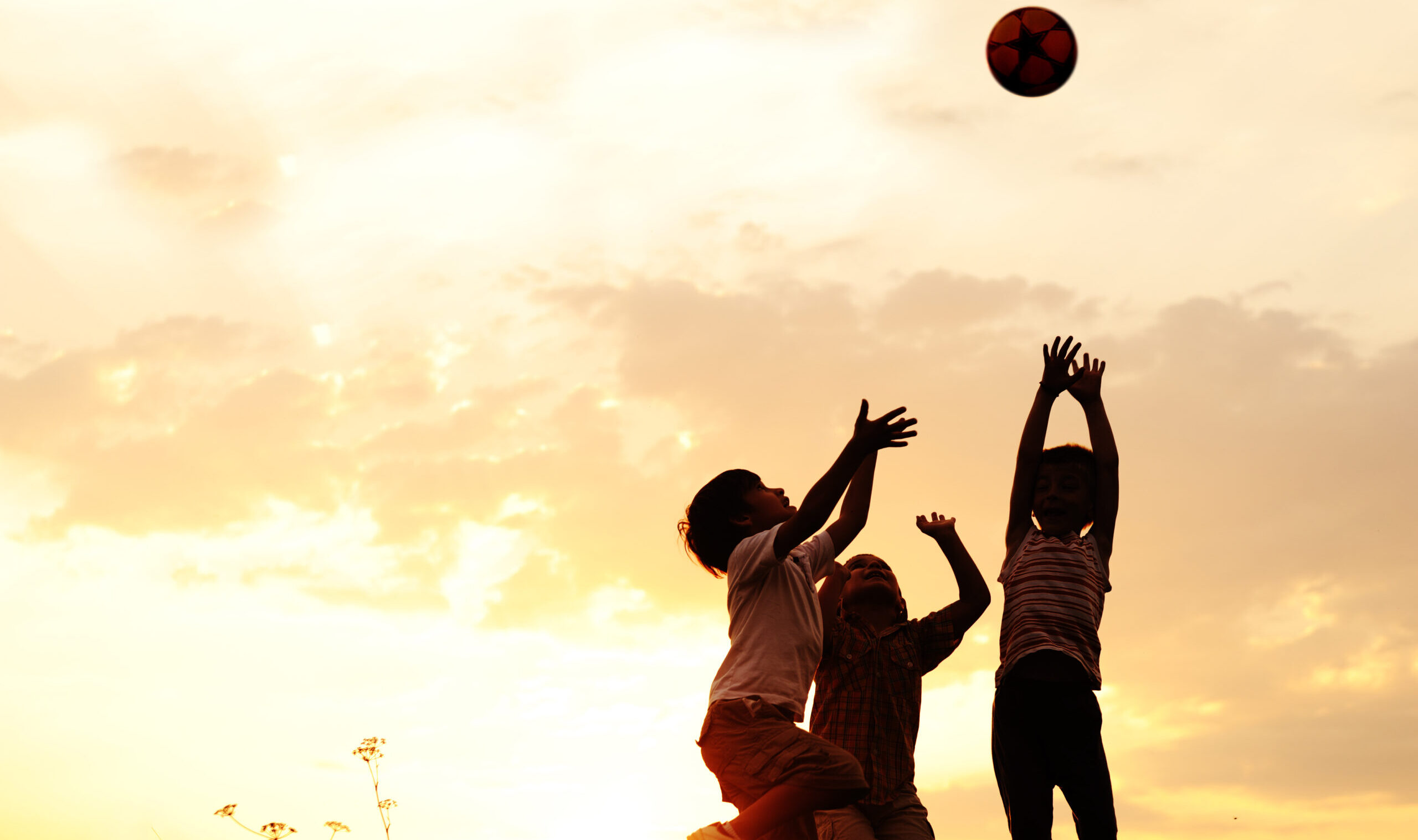 Group,Of,Happy,Children,Playing,With,Ball,On,Meadow,,Sunset,