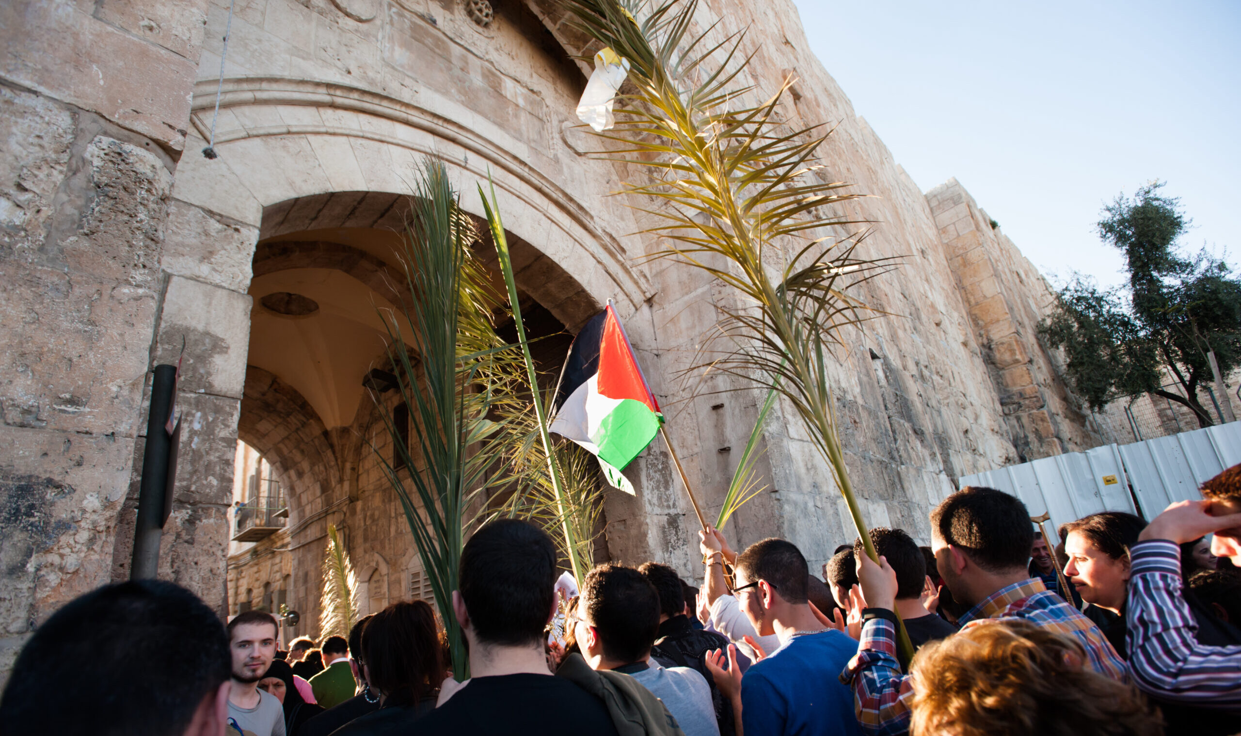 Jerusalem,-,March,24:,A,Palestinian,Flag,Waves,Among,Palm