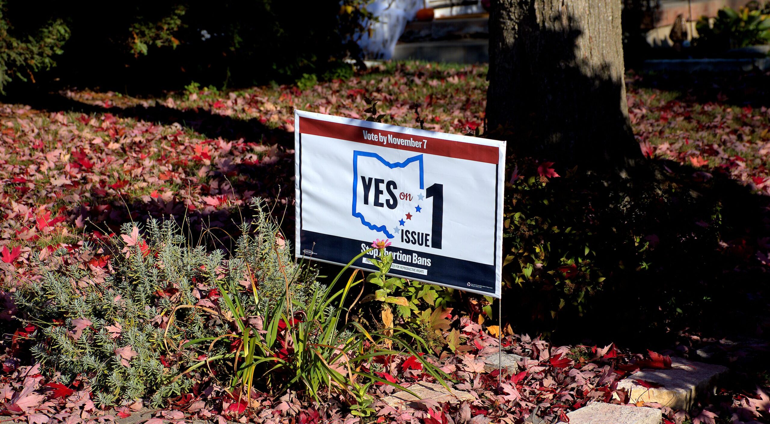 Dayton,,Ohio,Usa,October,23,,2023;,Political,Yard,Sign,Supporting