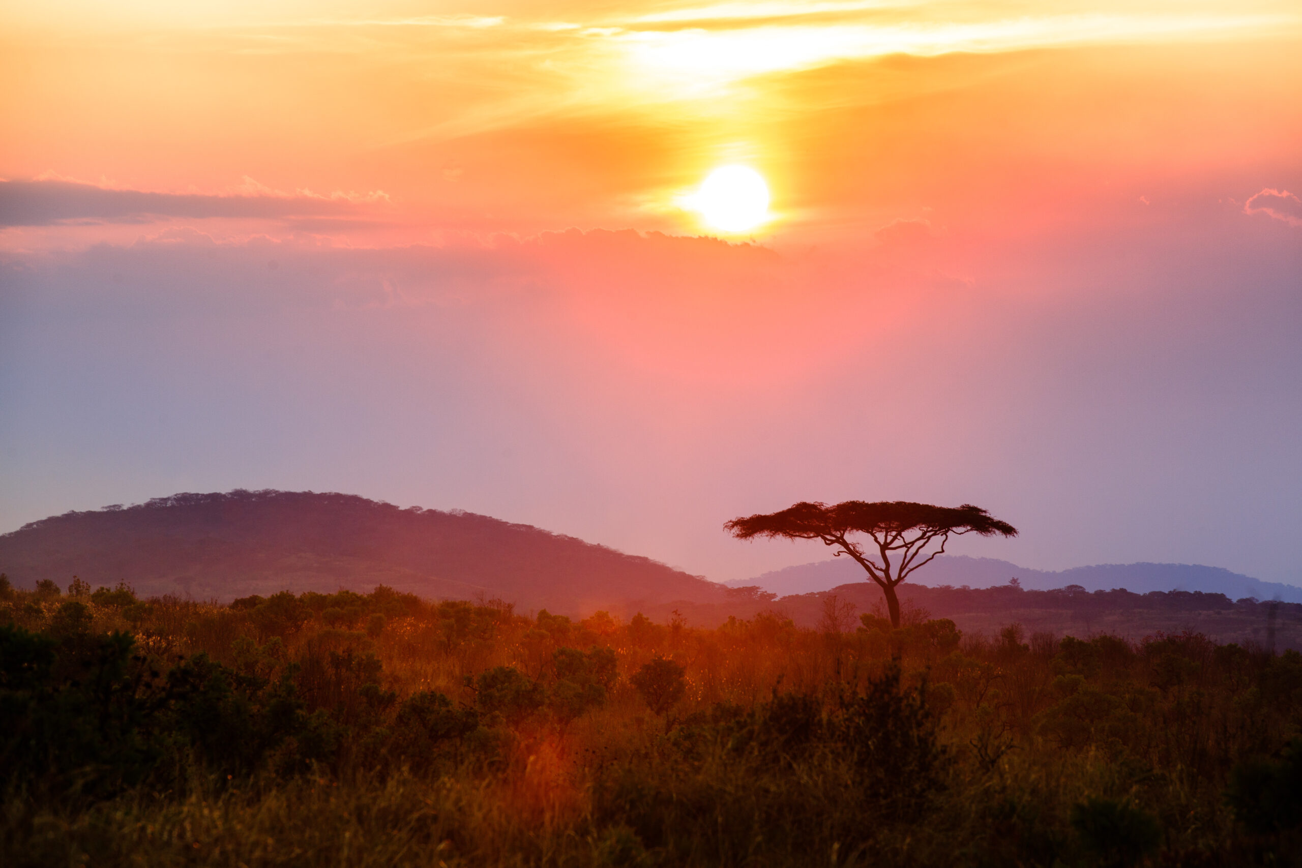 Sunset,In,Nyika,National,Park,-,Malawi