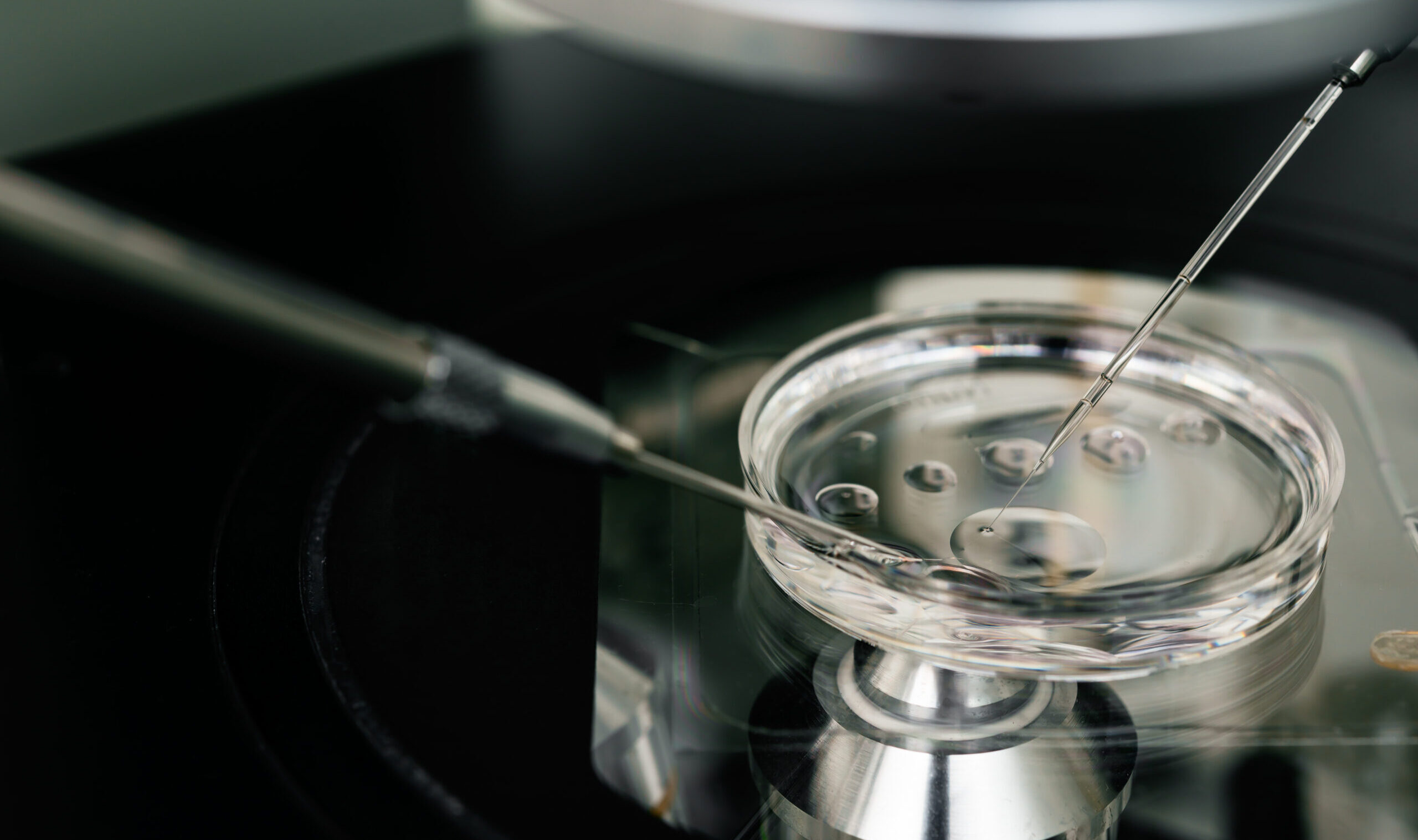 Microscope,For,In,Vitro,Fertilization,Process,Close,Up.,.,Equipment
