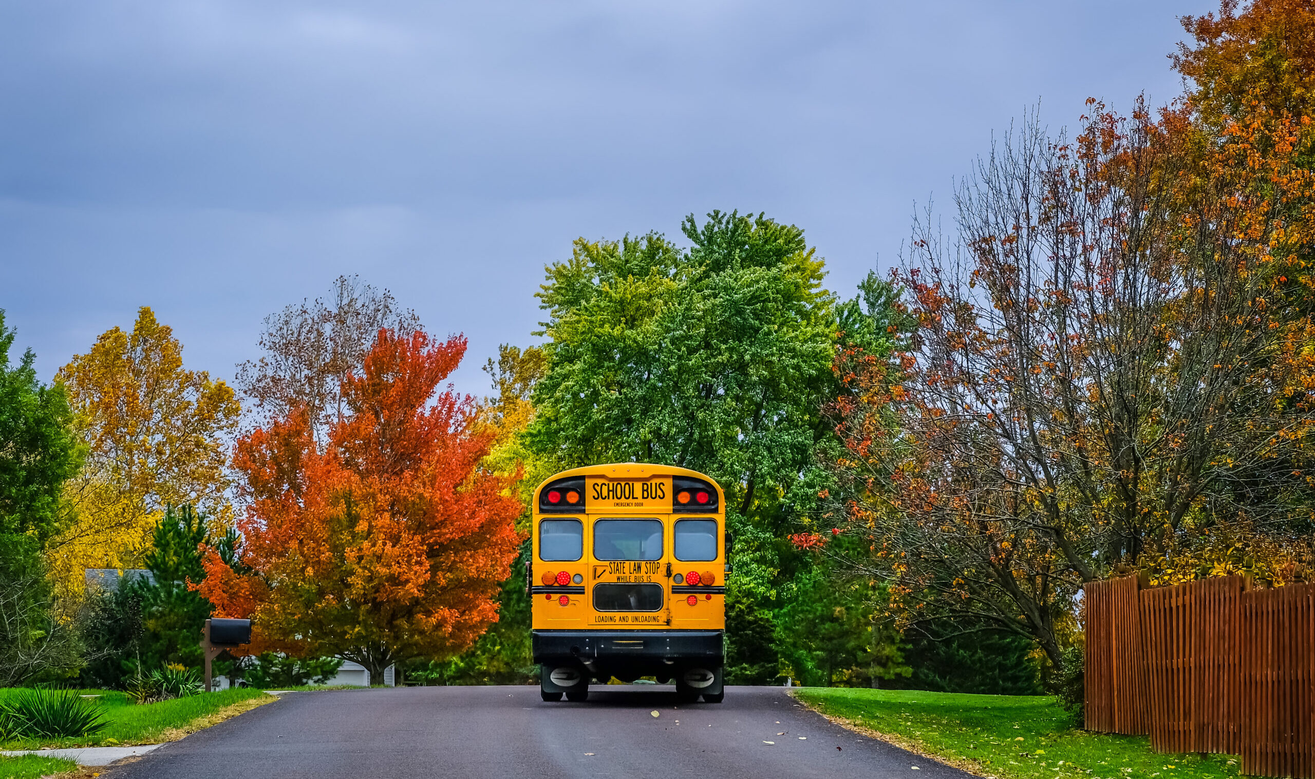 School,Bus,Driving,Along,Suburban,Street,In,Fall;,Colorful,Trees