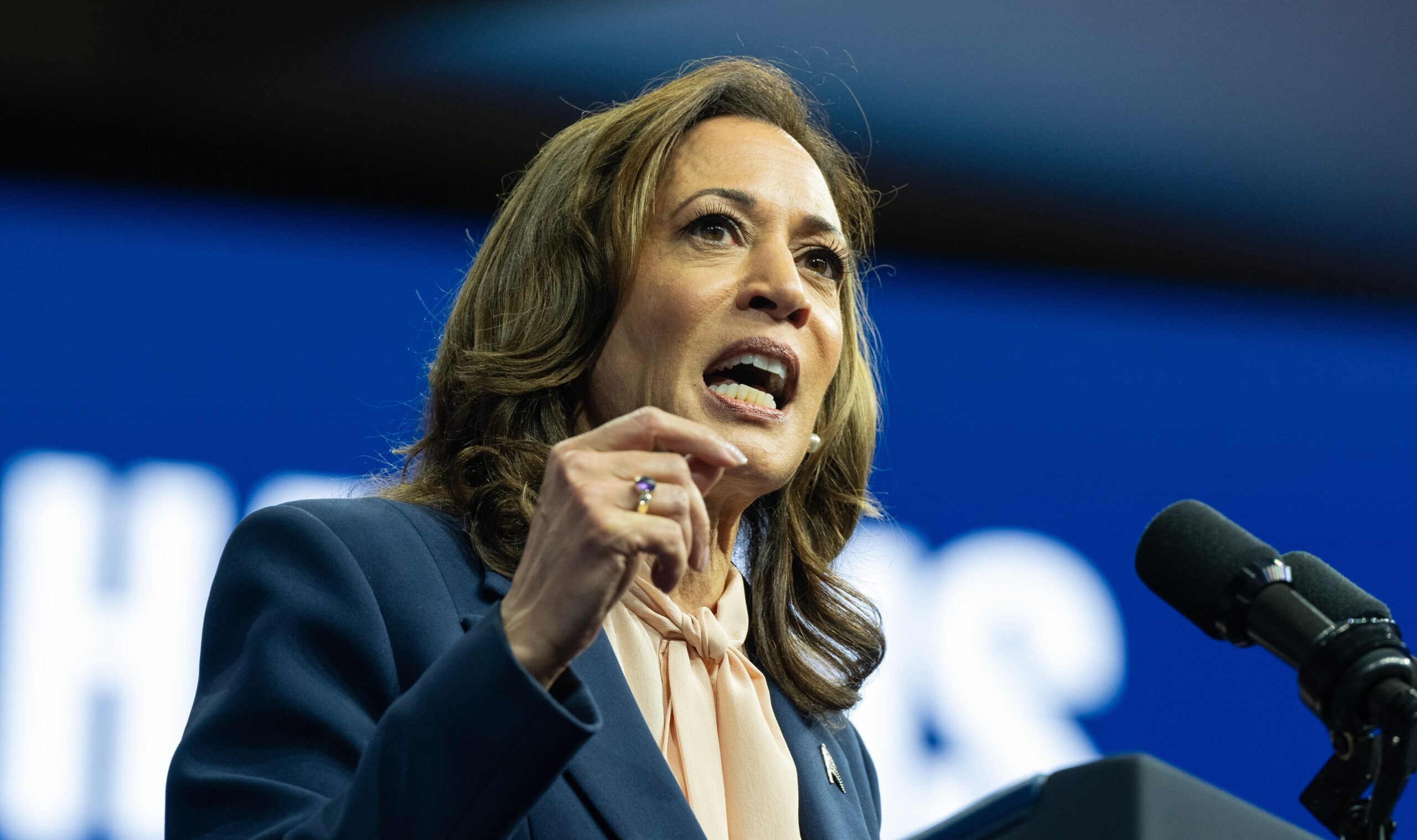 Vice,President,Kamala,Harris,Speaks,At,The,Rally,In,Liacouras