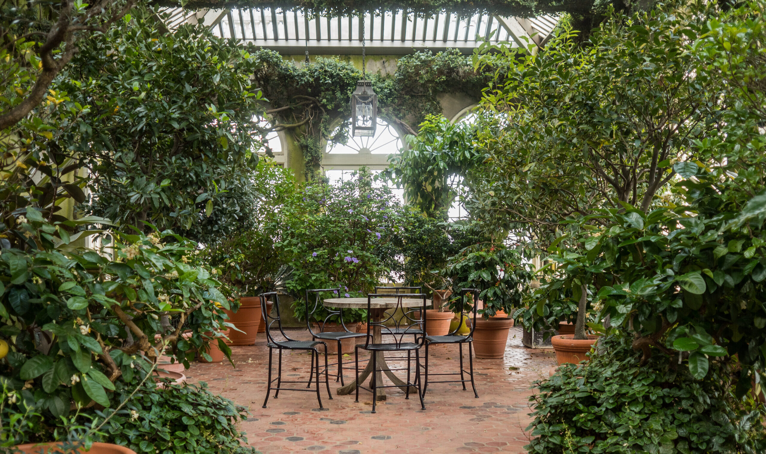 Washington,Dc,,Usa,,2,March,2019.,Winter,Garden,Dumbarton,Oaks