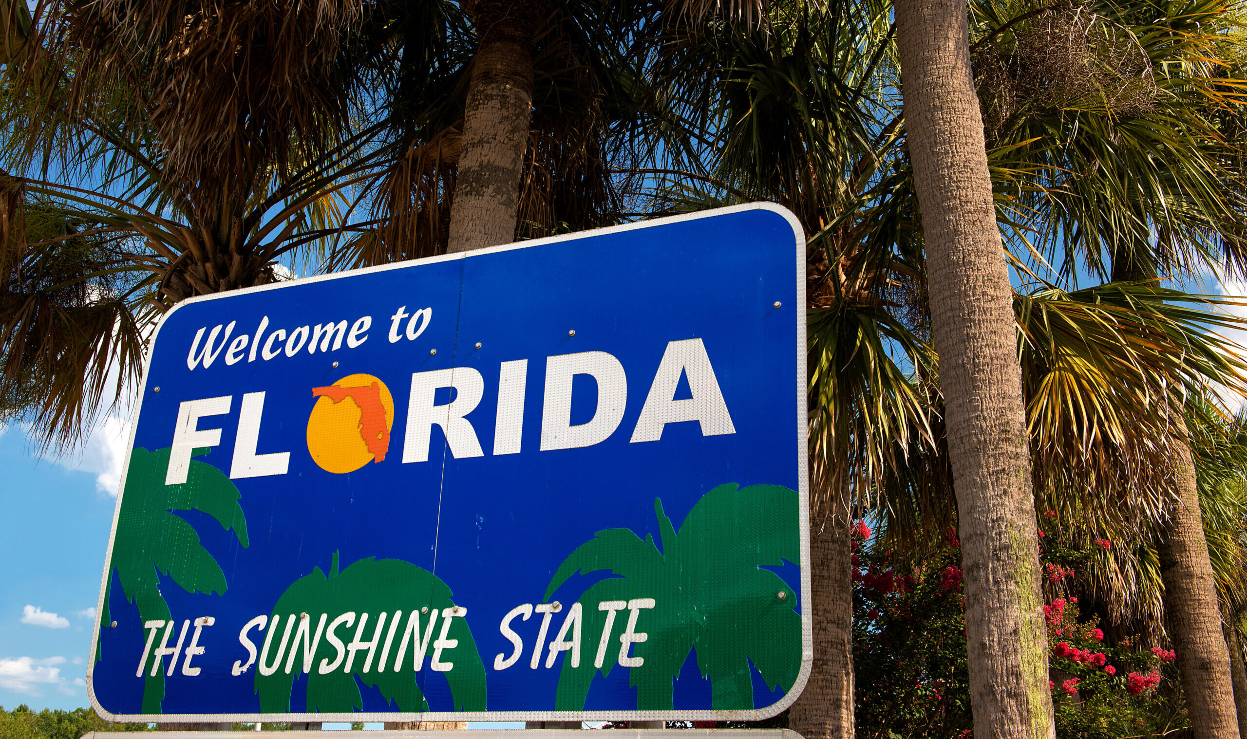 NextImg:Why Florida’s Amendment 4 is a Wolf in Sheep’s Clothing