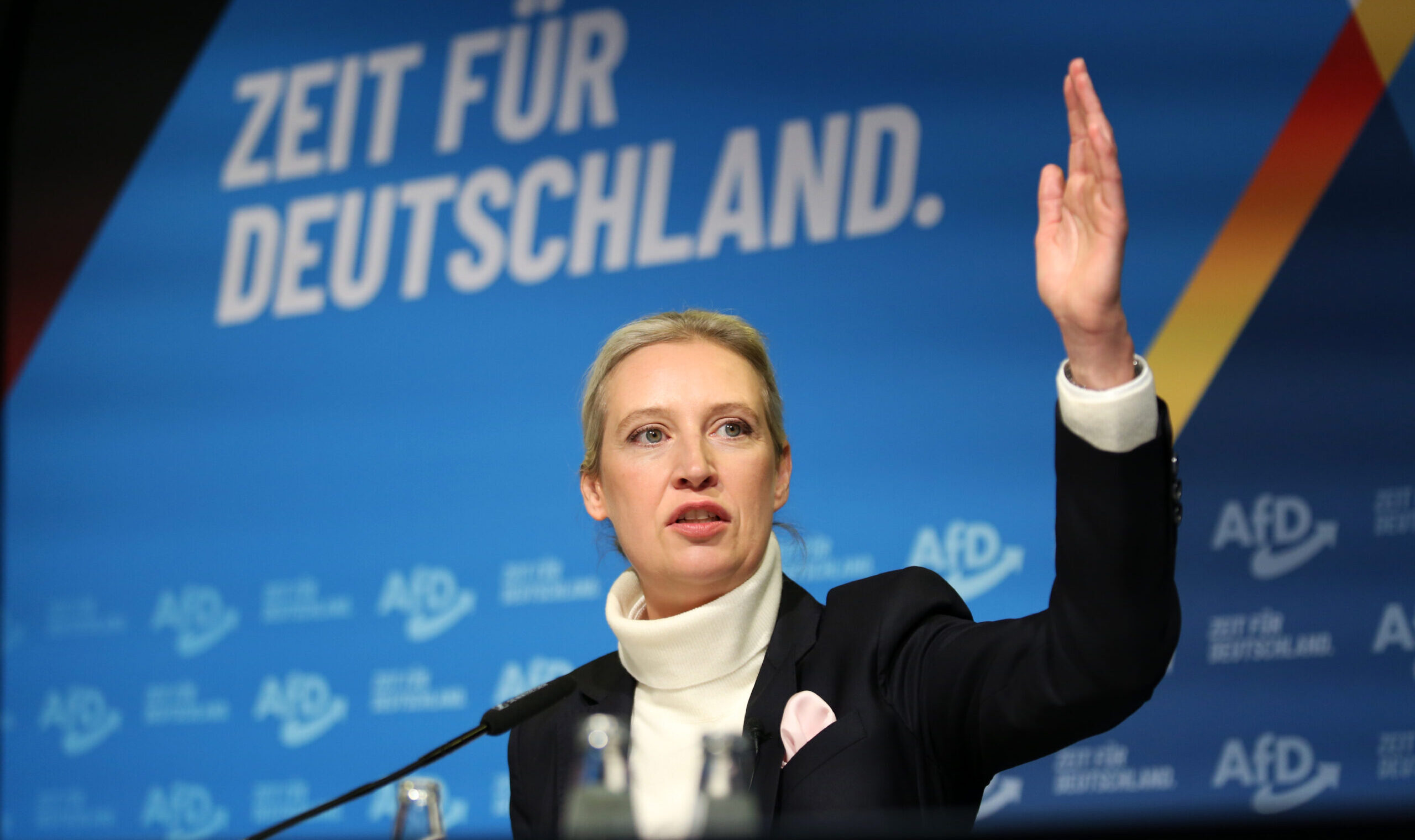 German Democracy Is in Peril