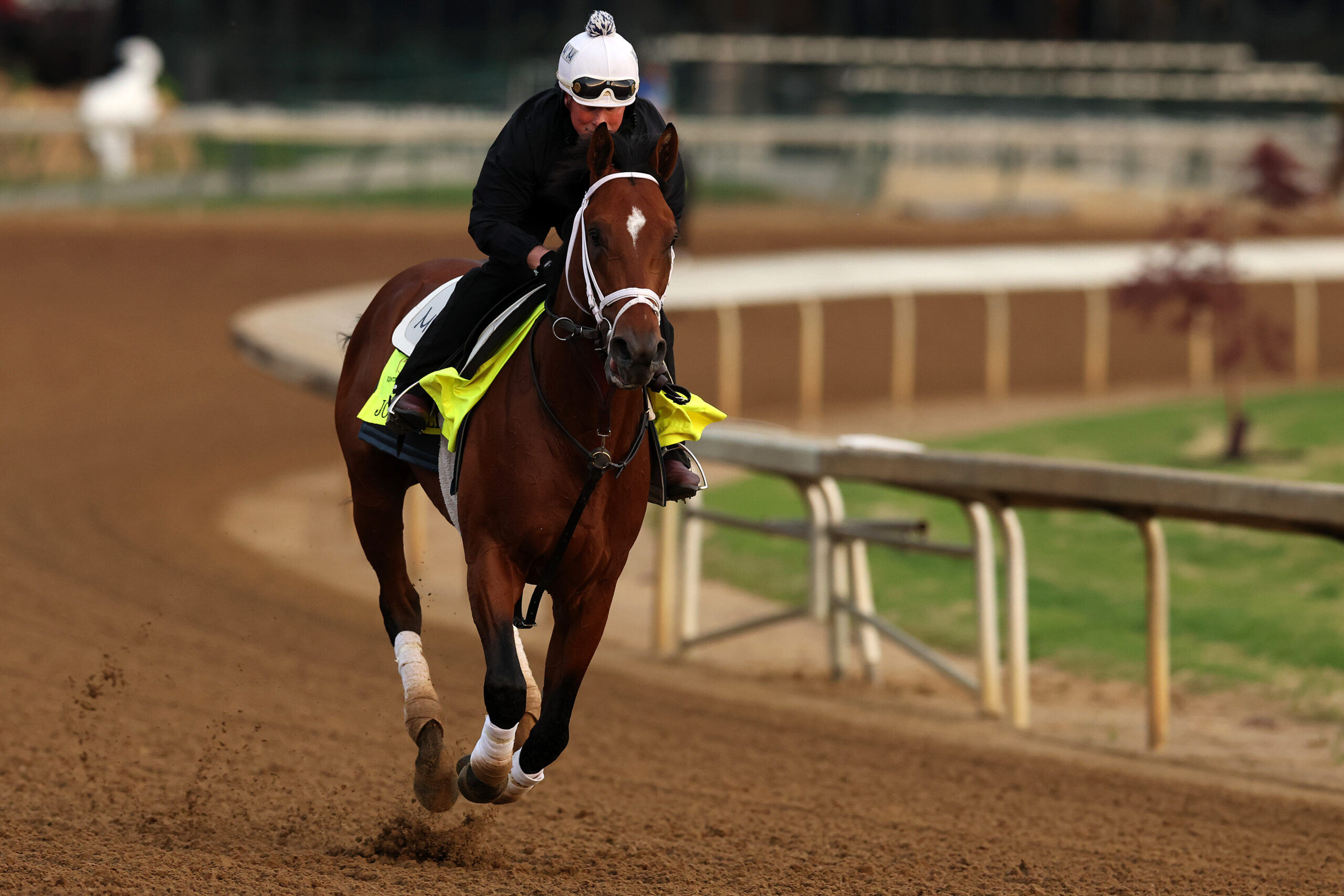 The TAC Kentucky Derby Preview