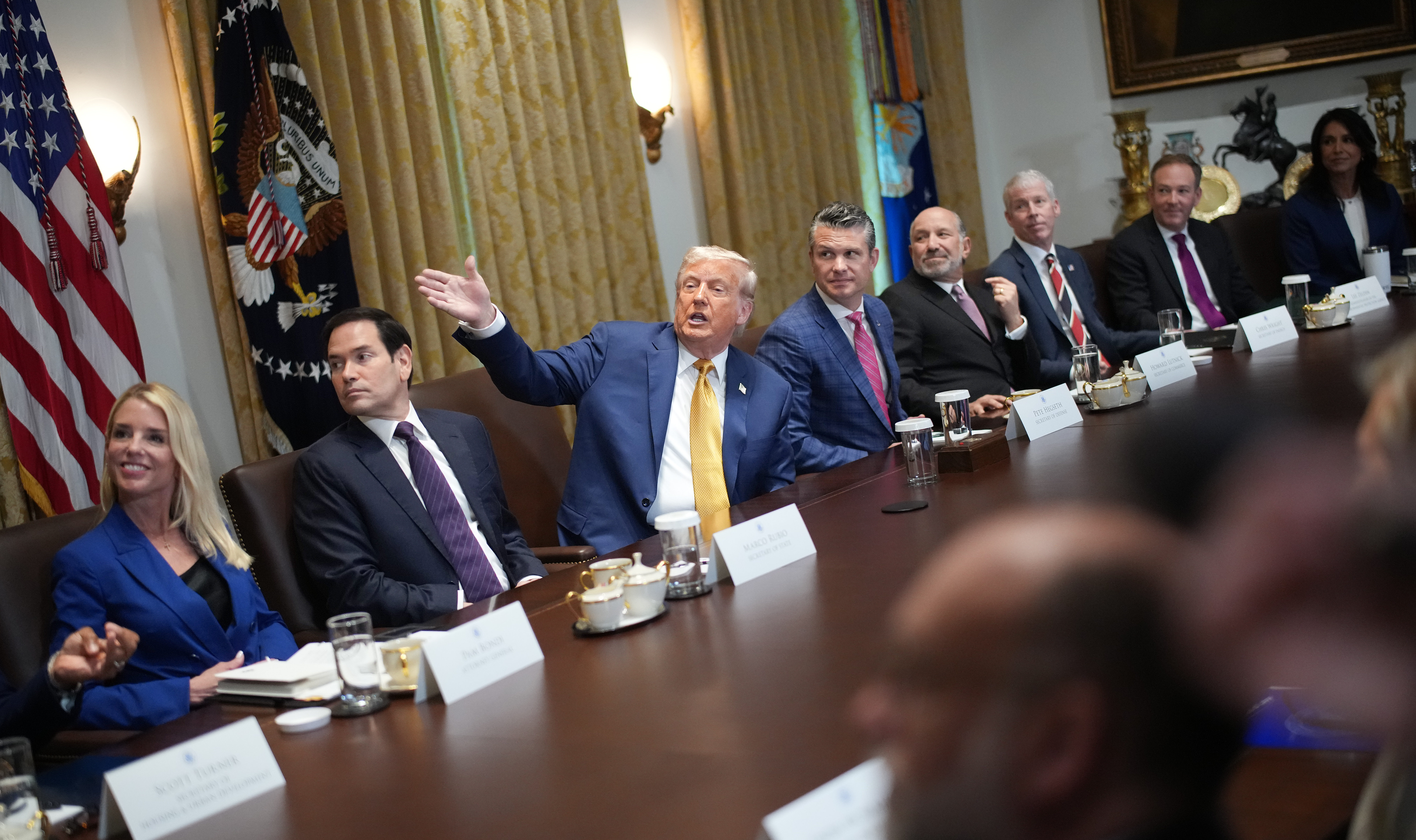 The Trump Swamp 