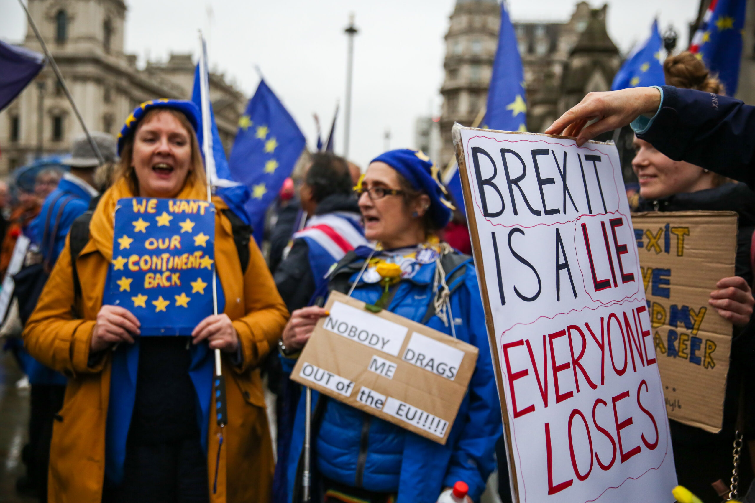 Pro-remain supporters holding placards protest outside