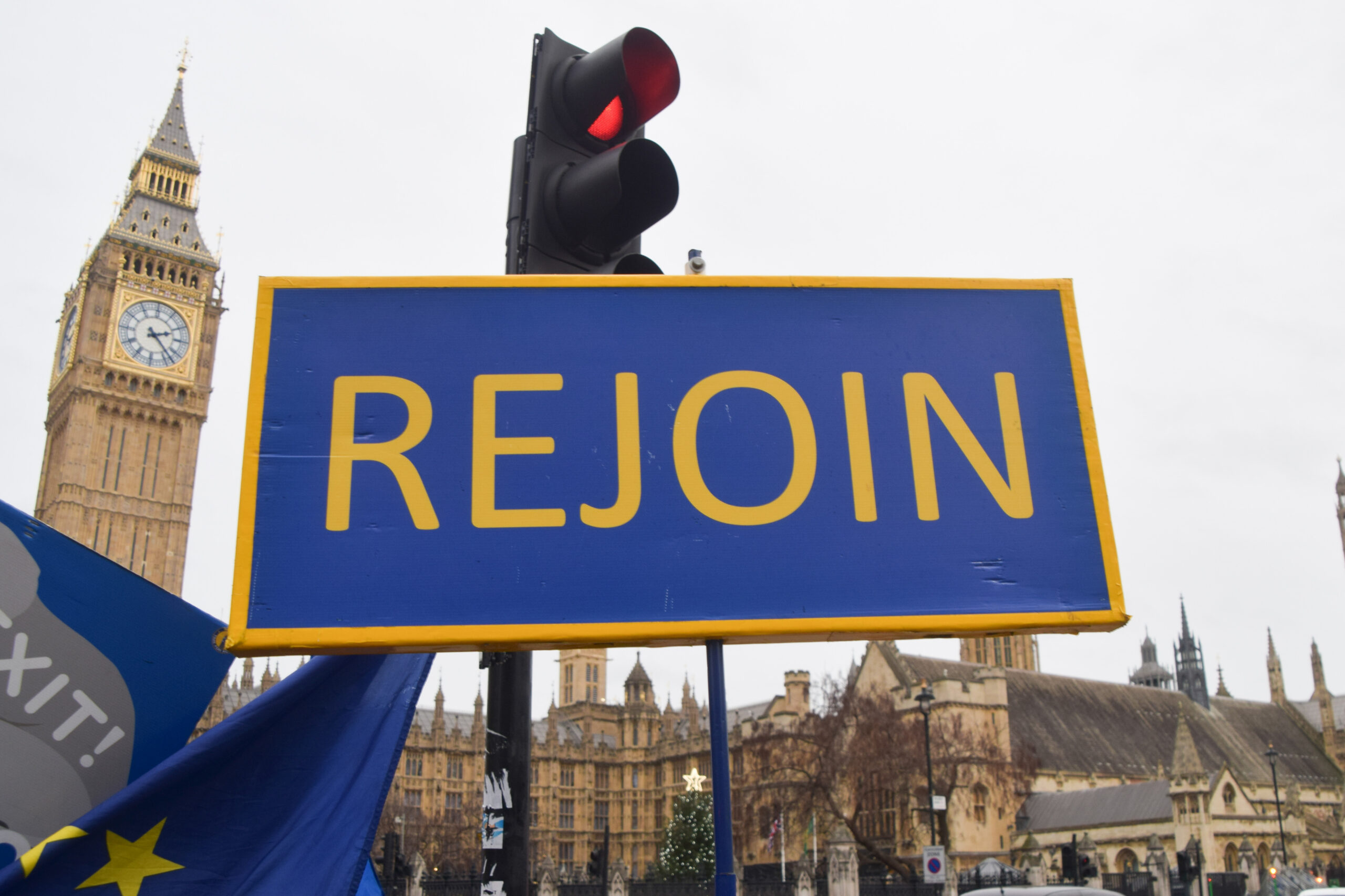 A 'Rejoin' placard is seen during the weekly pro-EU and anti