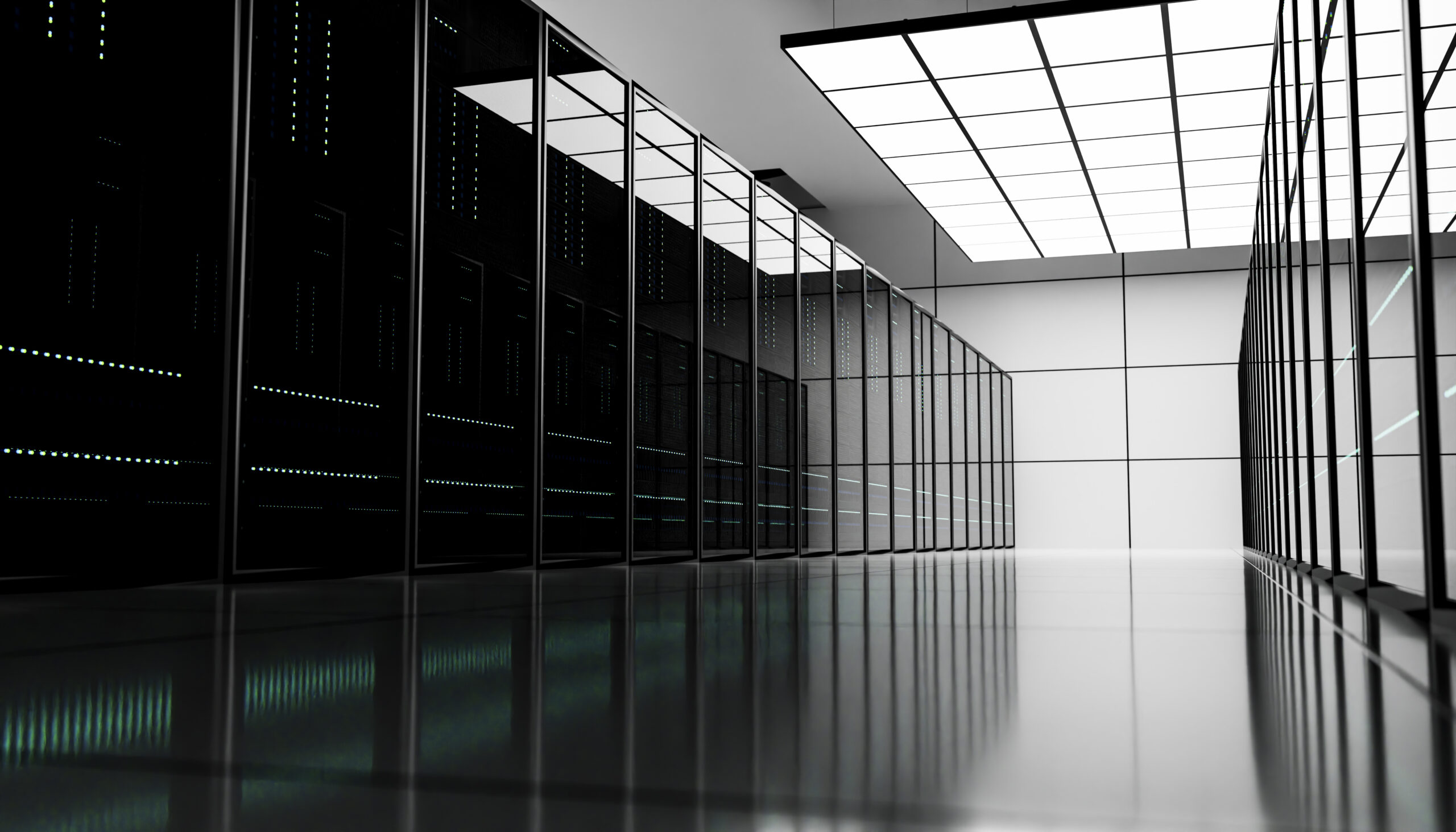 Server racks providing digital storage and networking in data center