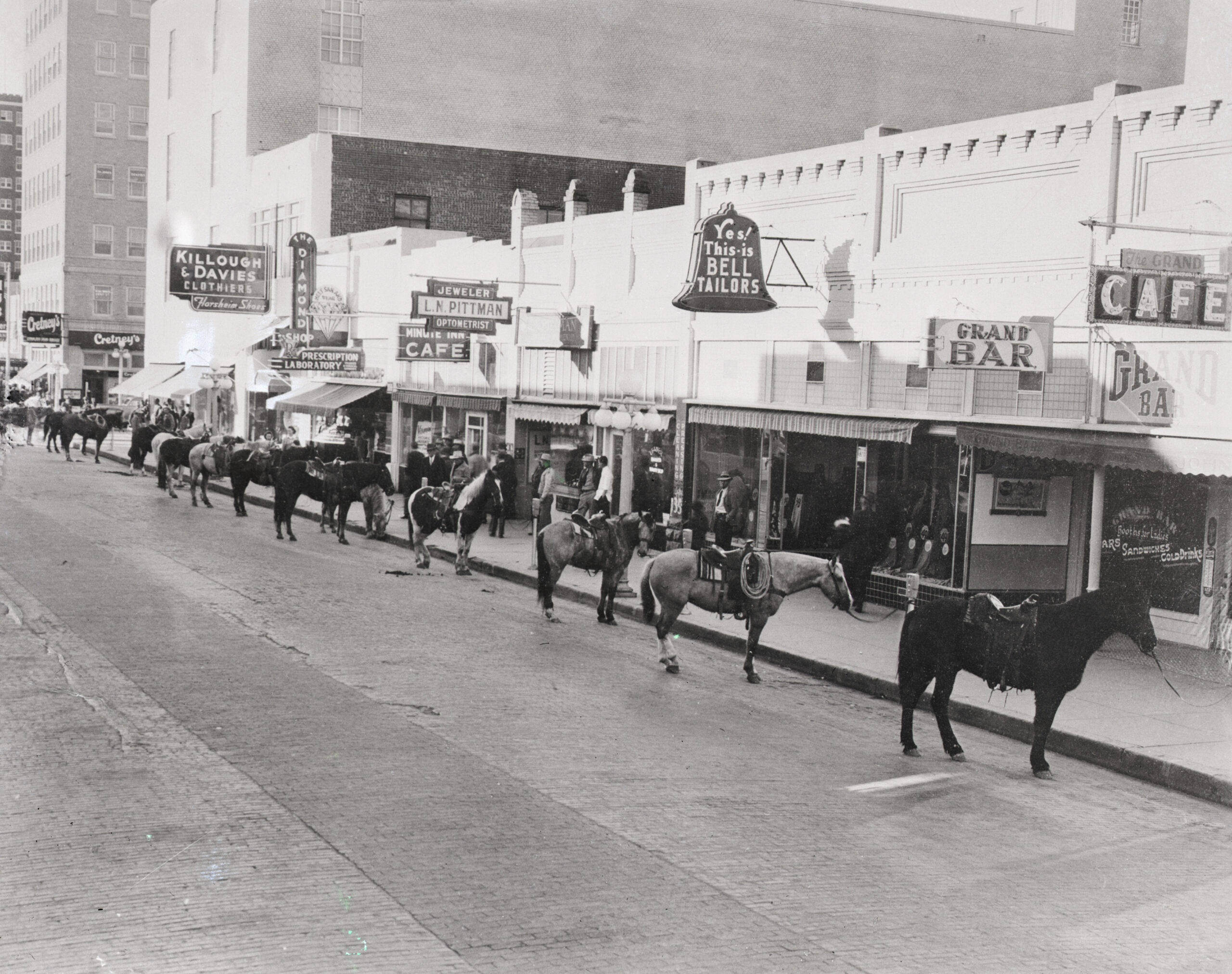 Horses Parked At Parking Meters